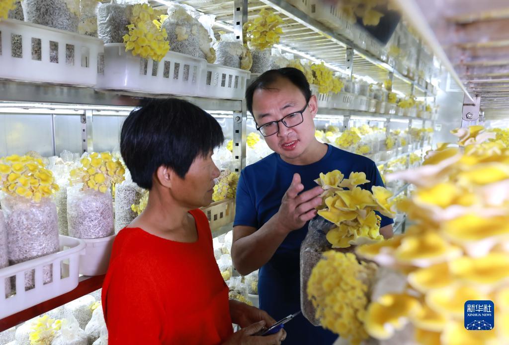 最权威的菠菜导航网
